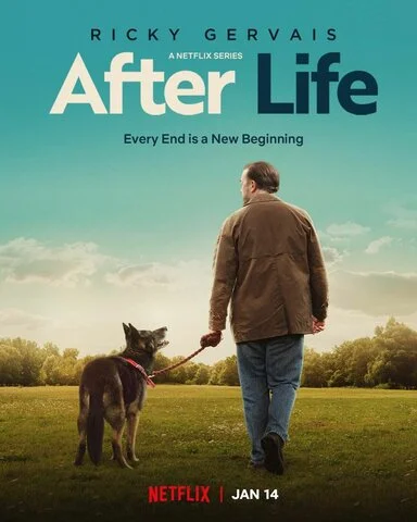 Следом за жизнью - постер сериала